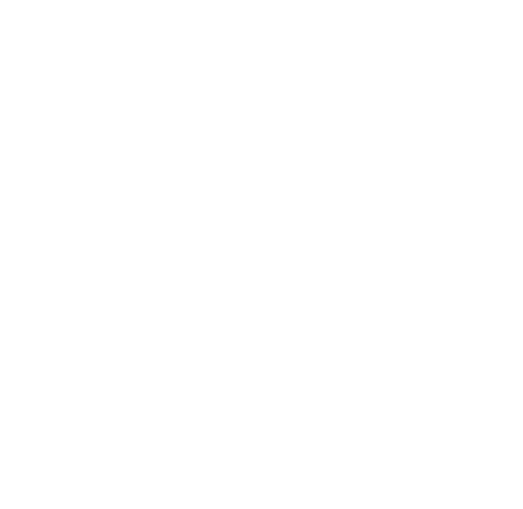 The Black Elephant Construction